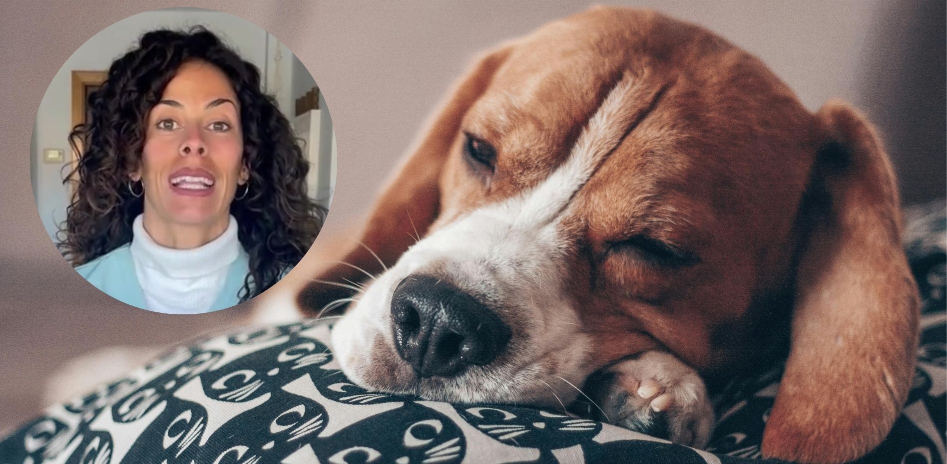 ¡Alerta Mascota! Cómo Salvar a Tu Mejor Amigo en 3 Minutos Críticos ¡Alerta Mascota! Cómo Salvar a Tu Mejor Amigo en 3 Minutos Críticos