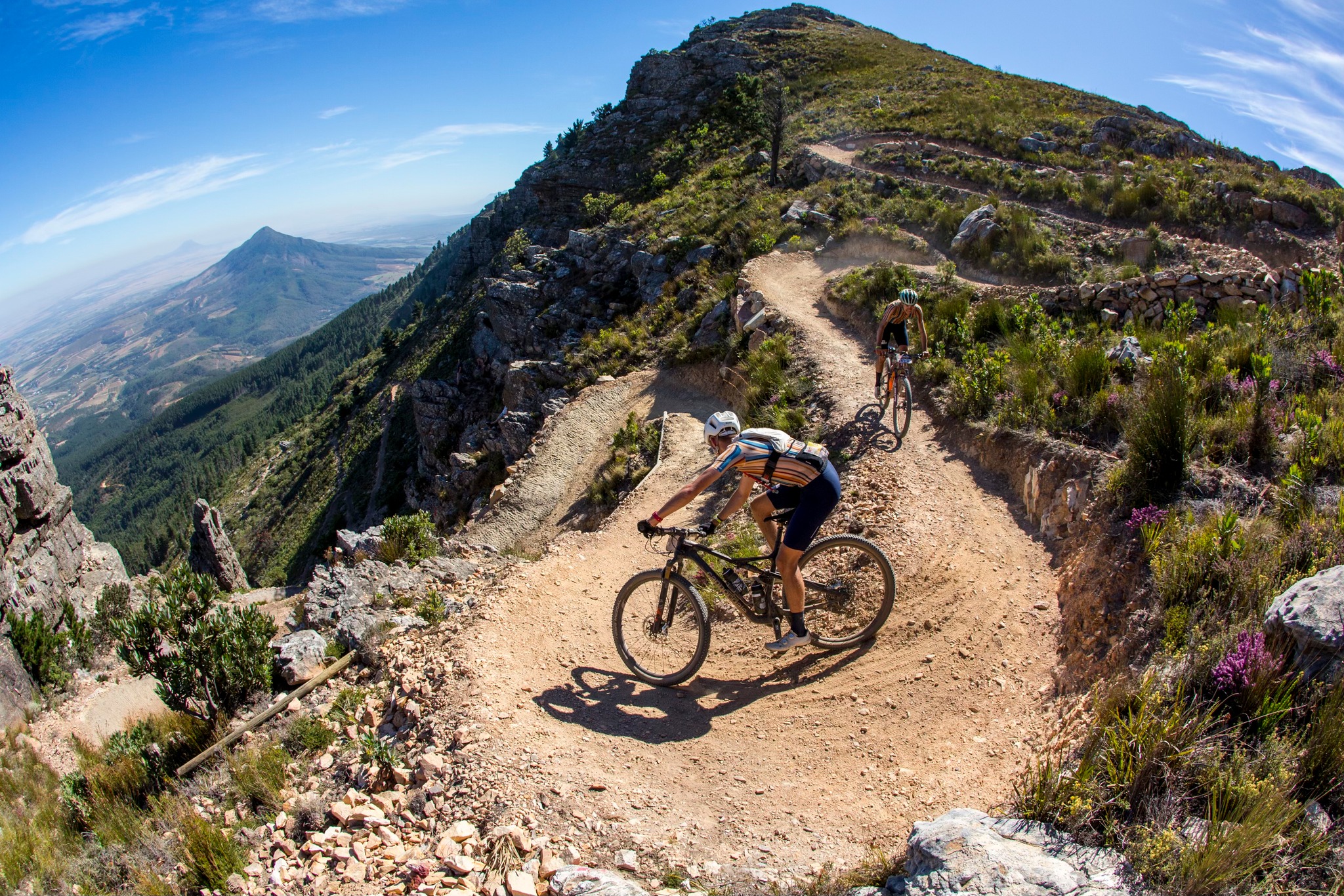 ¡Gran Final de la Cape Epic 2026! Todo por Decidir en la Última Etapa Sudafricana ¡Gran Final de la Cape Epic 2026! Todo por Decidir en la Última Etapa Sudafricana