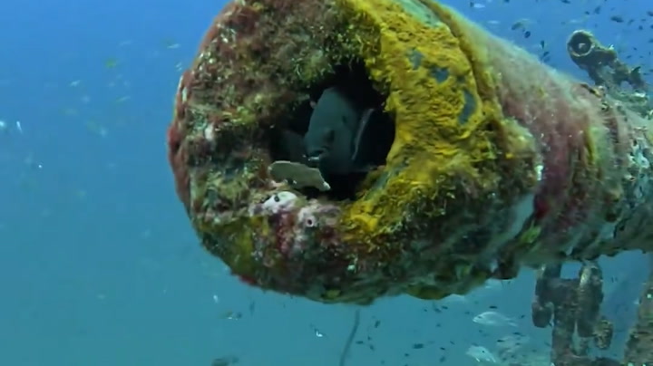 El legado de Barbanegra: descubrimientos arqueológicos que revelan la vida del infame pirata