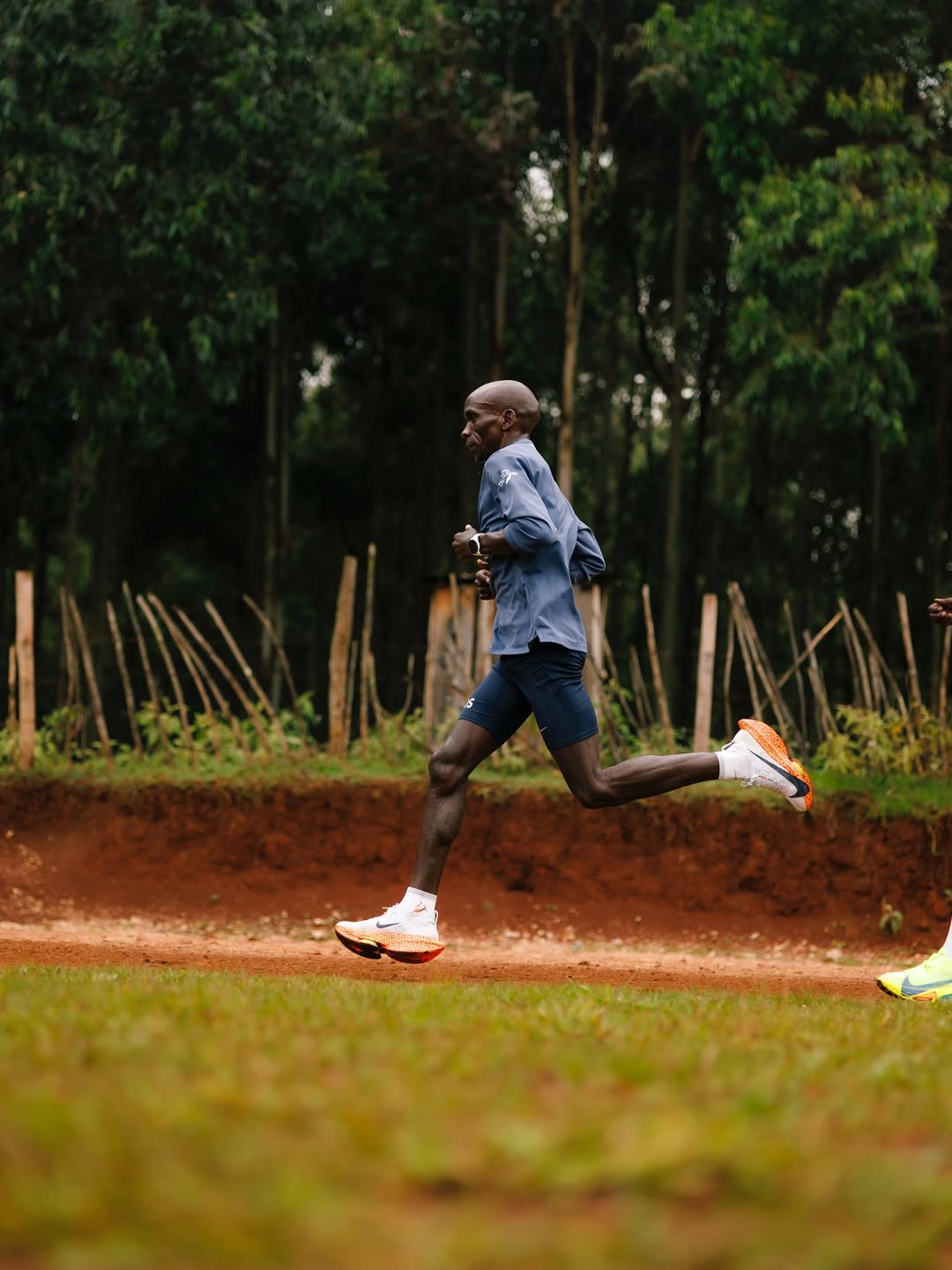 The Secret of the Kenyan Stride: Magic or Science? Deciphering the Flight of Champions