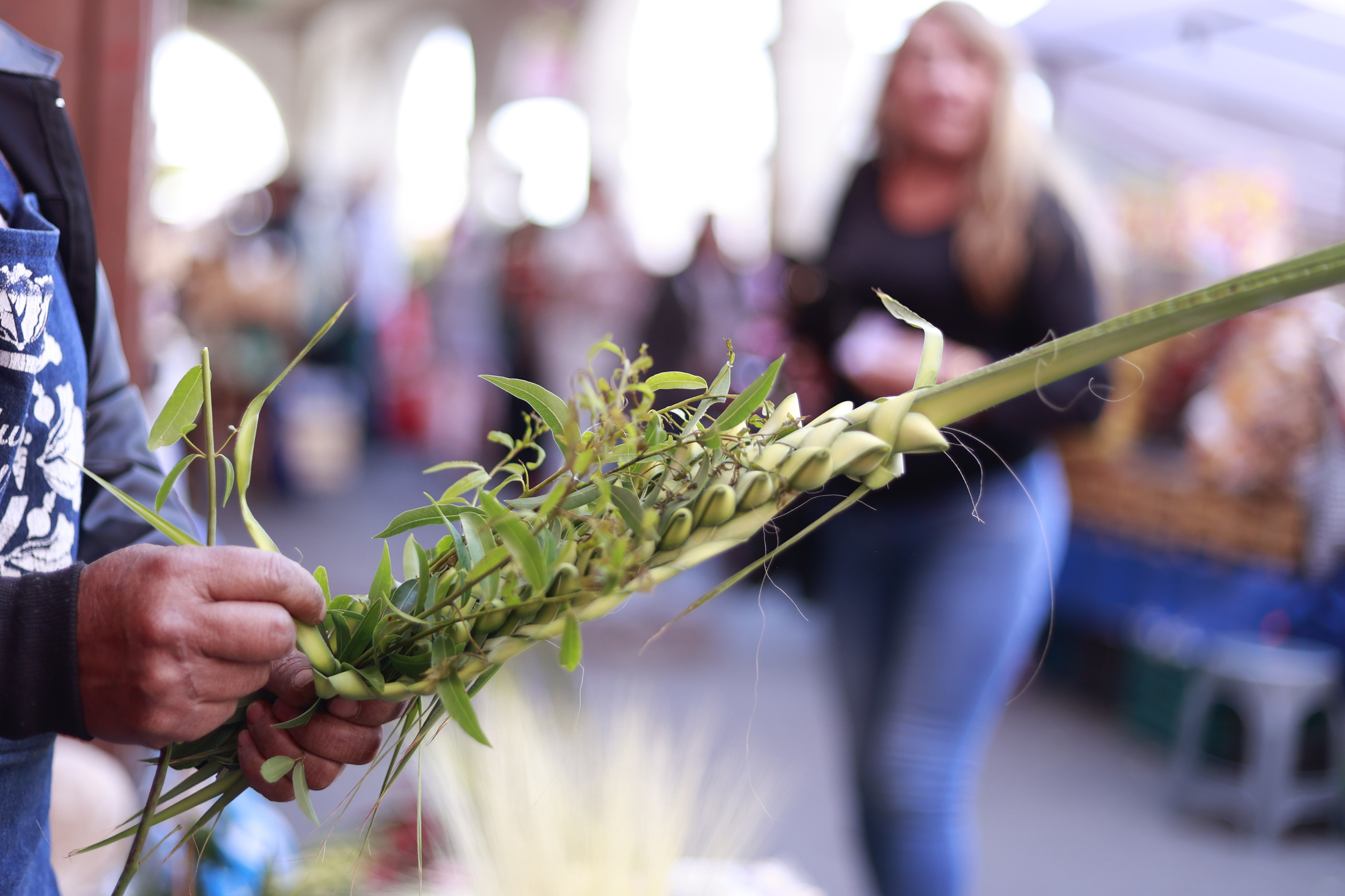 The Forgotten Art of Palm Sunday: Palms and Palms in Danger The Forgotten Art of Palm Sunday: Palms and Palms in Danger
