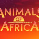 Tragamonedas 
Animals of Africa