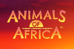 Tragamonedas 
Animals of Africa