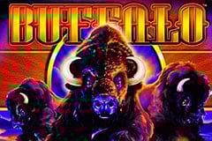 Tragamonedas 
Buffalo