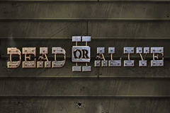 Tragamonedas 
Dead or Alive 2