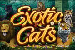 Tragamonedas 
Exotic Cats
