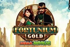 Tragamonedas 
Fortunium Gold Mega Moolah