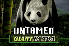 Tragamonedas 
Untamed Giant Panda