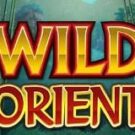 Tragamonedas 
Wild Orient