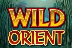Tragamonedas 
Wild Orient