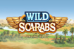 Tragamonedas Wild Scarabs