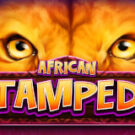 Tragamonedas 
African Stampede