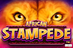 Tragamonedas 
African Stampede