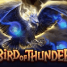 Tragamonedas 
Bird Of Thunder