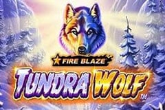 Tragamonedas 
Fire Blaze: Tundra Wolf