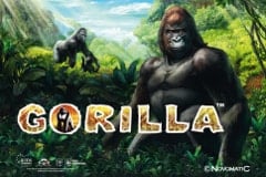 Tragamonedas 
Gorilla