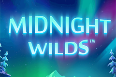 Tragamonedas 
Midnight Wilds