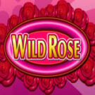 Tragamonedas 
Wild Rose