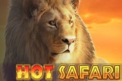 Tragamonedas 
Hot Safari