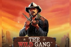 Tragamonedas 
The Wild Gang