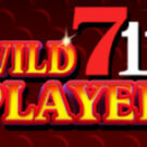 Tragamonedas 
Wild711Player