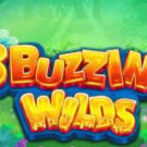 Tragamonedas 
3 Buzzing Wilds