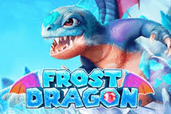 Tragamonedas 
Frost Dragon