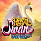 Tragamonedas 
Royal Swan