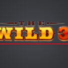 Tragamonedas 
The Wild 3