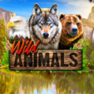 Tragamonedas 
Wild Animals