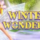Tragamonedas 
Winter Wonders