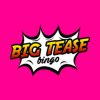 Big Tease Bingo Casino Online