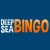 Deep Sea Bingo Casino Online