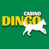 Dingo Casino Online