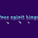 Free Spirit Bingo Casino Online