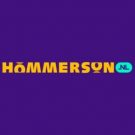 Hommerson.nl Casino Online