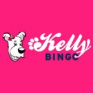 Kelly Bingo Casino Online