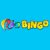 Rio Bingo Casino Online