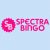 Spectra Bingo Casino Online