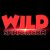 Wildspinner.com Casino Online