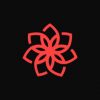 CasinoChan Casino Online