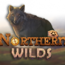 Northern Wilds — Juega 100% gratis en modo demo