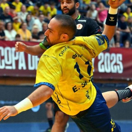 35-26: Bidasoa-Irun encarrila su clasificación europea