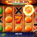 Tragamonedas Hot to Burn Hold and Spin