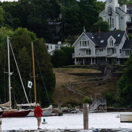 Envenenan unos árboles para mejorar las vistas de su mansión: la polémica que divide a una comunidad en Estados Unidos