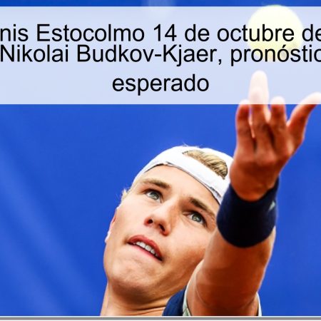 Predicción tenis Estocolmo 14 de octubre de 2025: Marin Čilić frente a Nikolai Budkov-Kjaer, pronóstico y resultado esperado