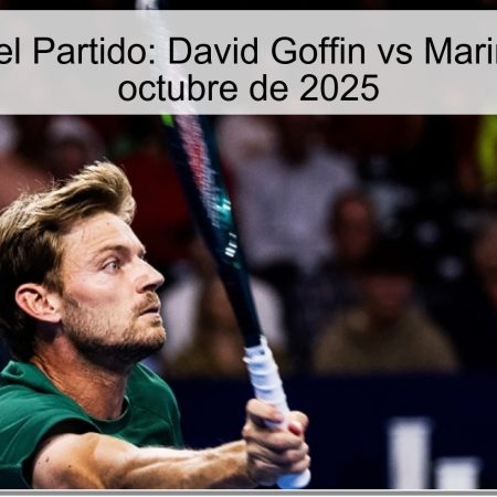 Predicción del Partido: David Goffin vs Marin Cilic, 19 de octubre de 2025