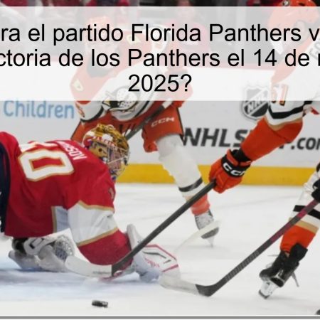 Predicción para el partido Florida Panthers vs Washington Capitals: ¿Victoria de los Panthers el 14 de noviembre de 2025?