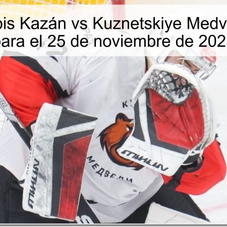Pronóstico Irbis Kazán vs Kuznetskiye Medvedi: Favoritos para el 25 de noviembre de 2025