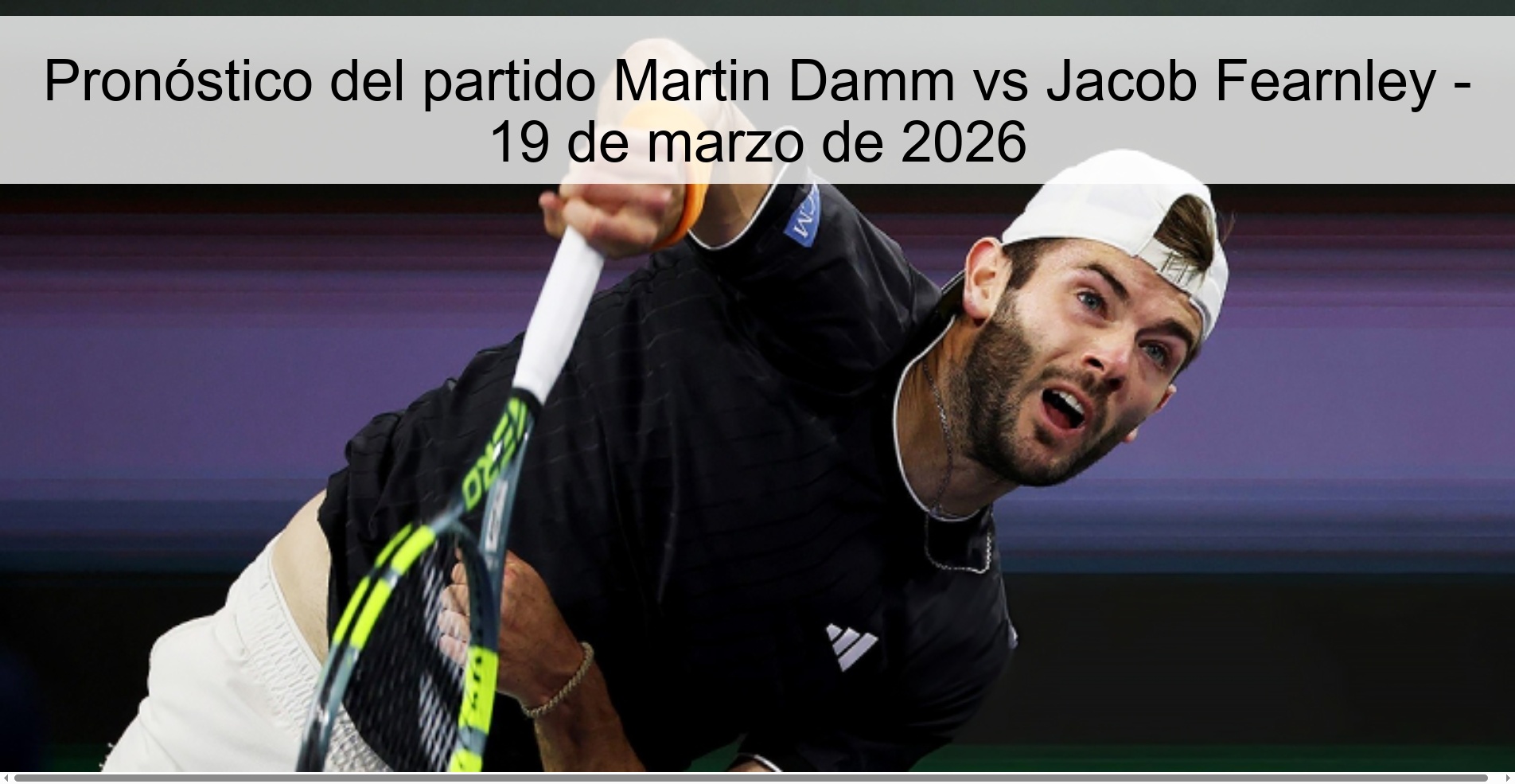 Martin Damm vs Jacob Fearnley Match Prediction